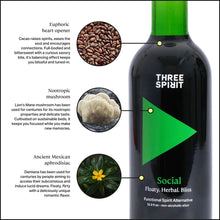 Load image into Gallery viewer, Three Spirit Social Elixir