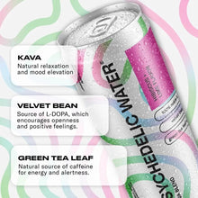 Load image into Gallery viewer, Psychedelic Water Hibiscus + Lime