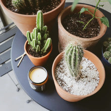 Load image into Gallery viewer, Project Happiness Cactus Flower and Jade - 8 oz Soy Candle - Floral Scent