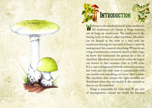 Load image into Gallery viewer, Mushroom Spirit Oracle(36 Cards &amp; 112-Page Book)
