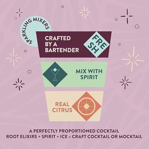 Root Elixirs Ginger Beer Sparkling Mixer Can