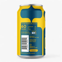 Load image into Gallery viewer, Gruvi Non-Alcoholic Golden Era
