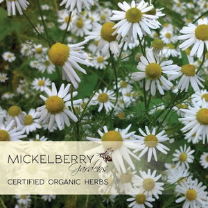 Mickelberry Gardens Bee Calm Stress Relief Spray