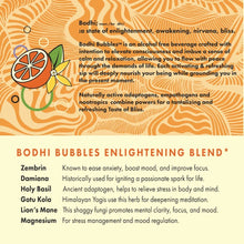 Load image into Gallery viewer, Bodhi Bubbles Orange Vanilla Om
