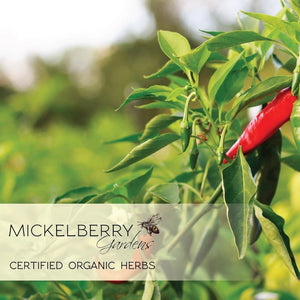 Mickelberry Gardens Fire Cider Honey Tonic