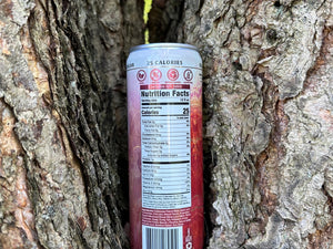 High Ground Elixir Mushroom Seltzer - Strawberry Peach