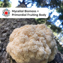 Load image into Gallery viewer, Wilderness Poets Organic Lion&#39;s Mane Mushroom Powder
