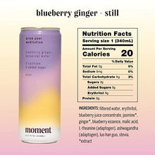 Load image into Gallery viewer, Moment Still Blueberry Ginger Botanical Water
