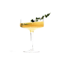 Load image into Gallery viewer, Curious Elixir No. 3 Booze-Free Cocktails
